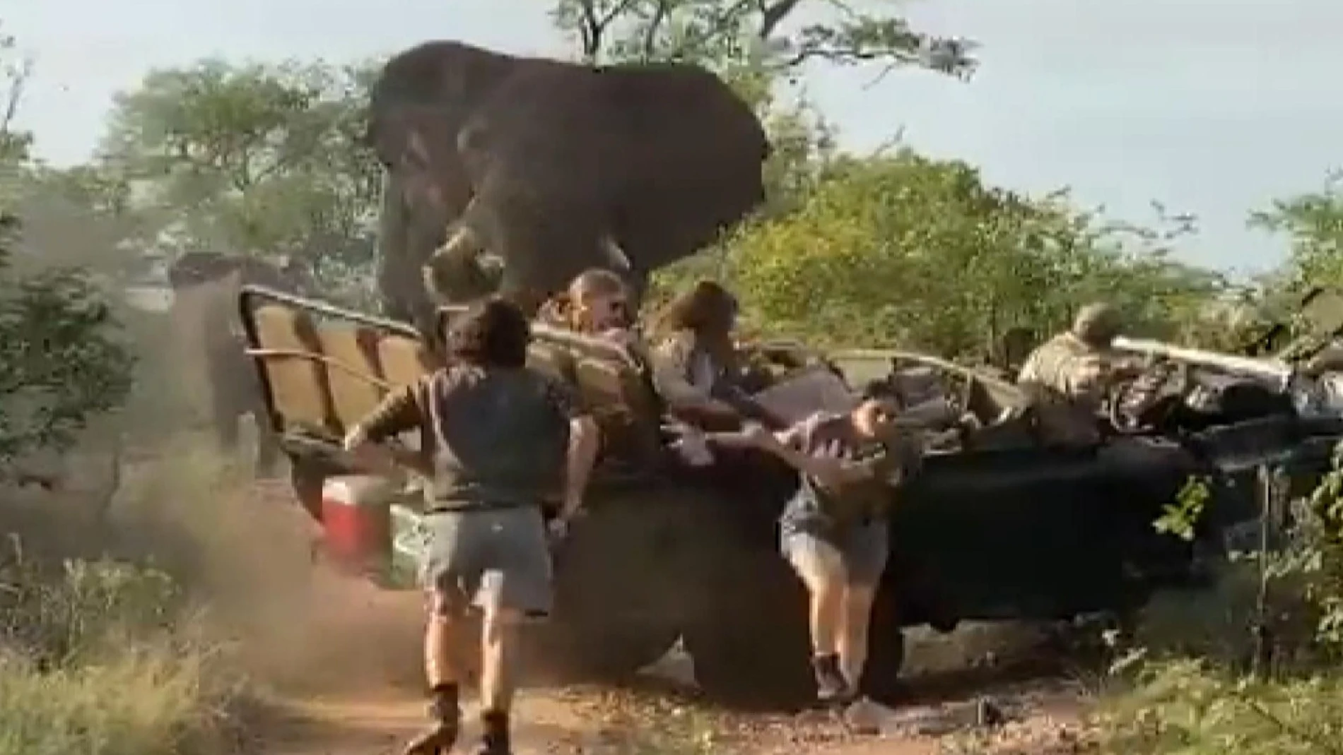 Elefante ataca cami&oacute;n de turistas en Sud&aacute;frica