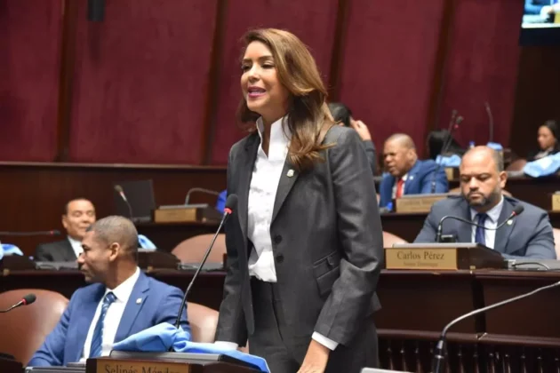 Diputada Selin&eacute;e M&eacute;ndez reta a Luis Abinader a recorrer los barrios para ver la pobreza real