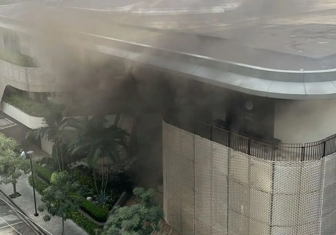 Incendio en establecimiento comercial del Distrito Nacional, Sistema 911 coordina asistencia
