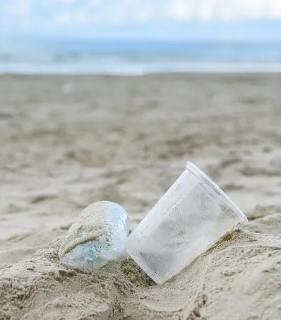 Medio Ambiente prohíbe el uso de ‘foam’ y plástico en la Saona y Catalina