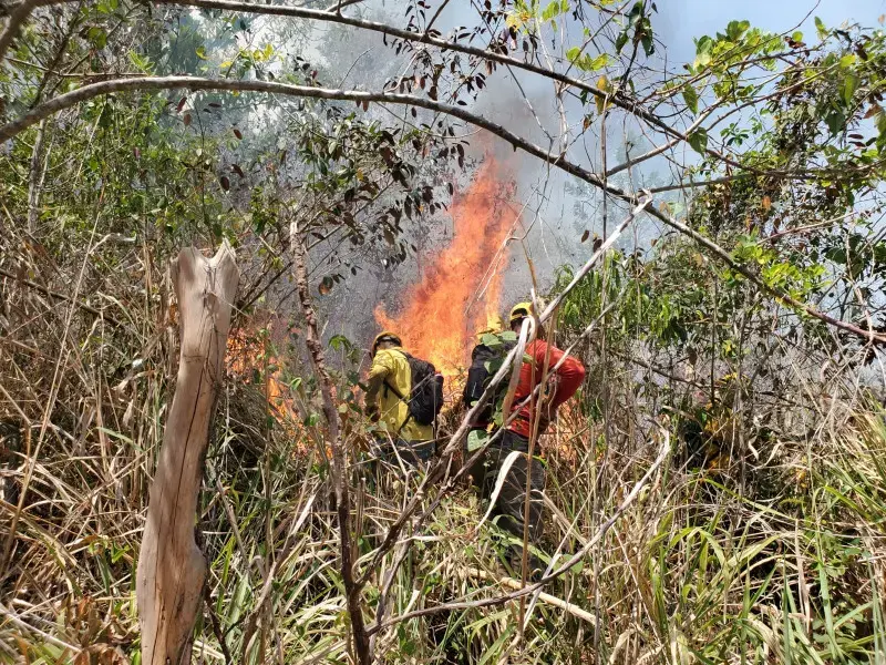 Bomberos espa&ntilde;oles capacitan a dominicanos en la lucha contra los incendios forestales