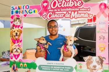 Alcaldía del Distrito Nacional esteriliza 107 perros y gatos en jornada de bienestar animal 