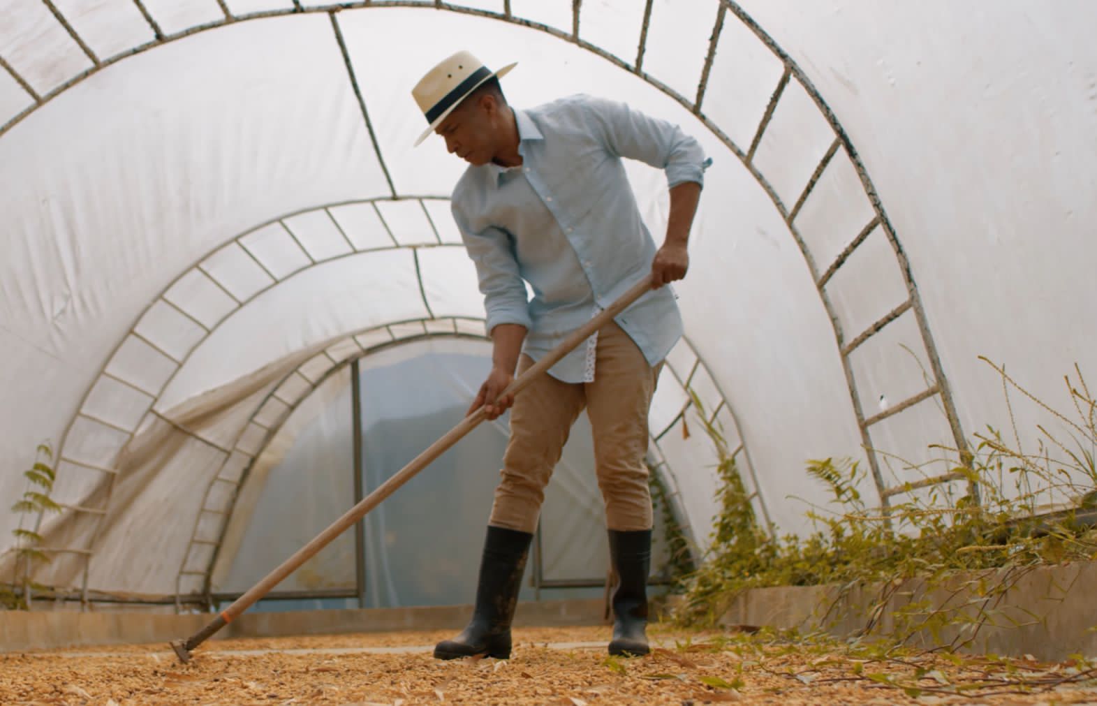 Mares de agua de coco&rdquo;, una propuesta audiovisual refrescante y de alta calidaf