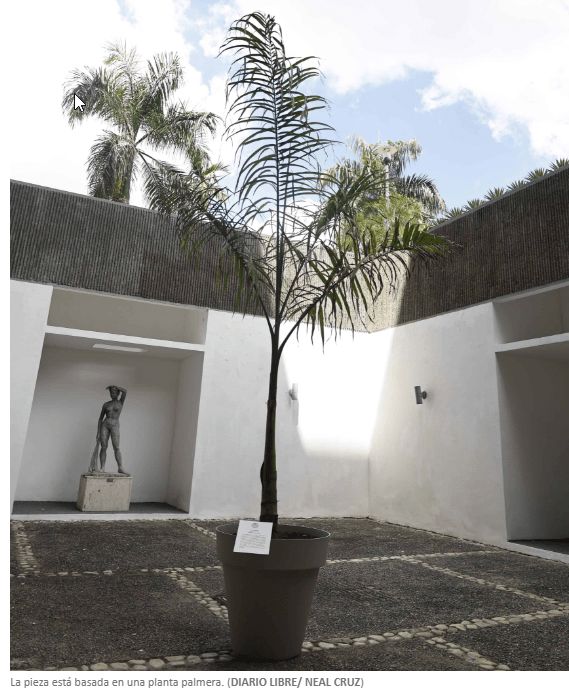 Jurados de la 31 Bienal Nacional de Artes Visuales defienden validez del premio a la obra &ldquo;Lo que no se saca de ra&iacute;z, vuelve a crecer&rdquo;