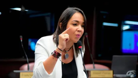 Faride Raful dice PLD y FP se unieron para impedir Ley de Extinci&oacute;n de Dominio