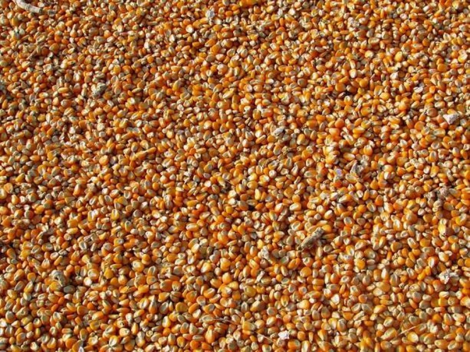 Ucrania espera reanudar exportaciones de grano "esta semana"