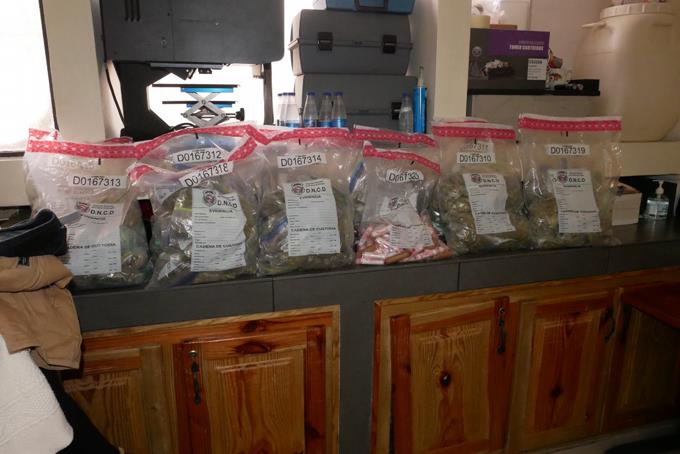 DNCD incauta en Puerto Haina 213 latas que aparentaban ser de tomate rellenas de marihuana