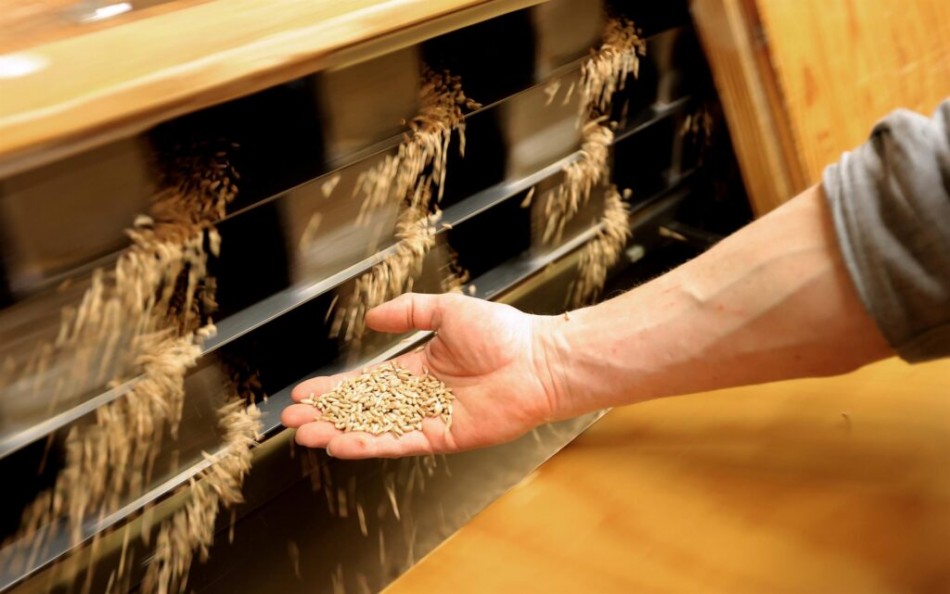 Rusia avisa que no exportar&aacute; cereales en detrimento de su propio mercado
