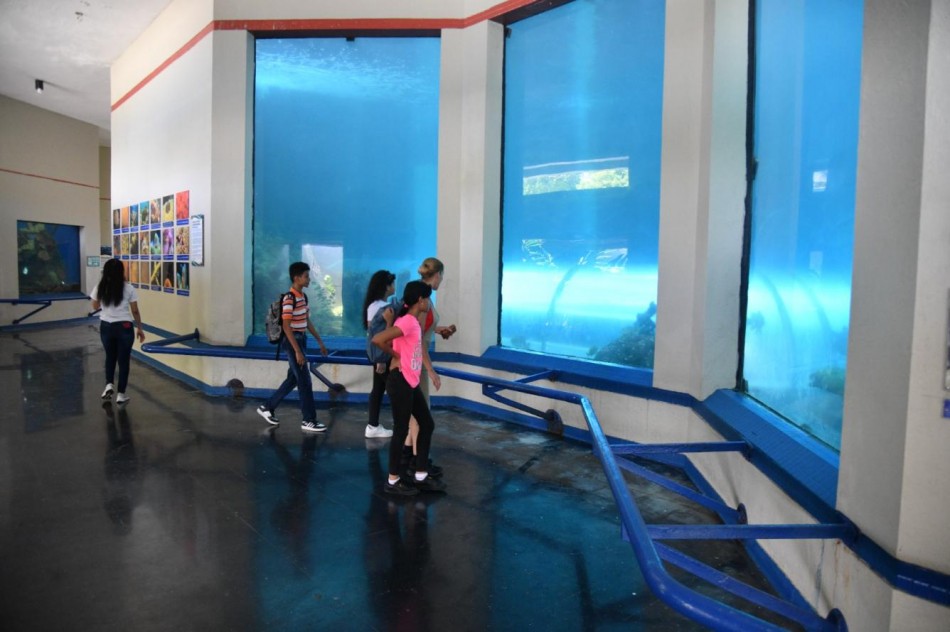 Remozamiento del Acuario Nacional a&uacute;n no comienza 