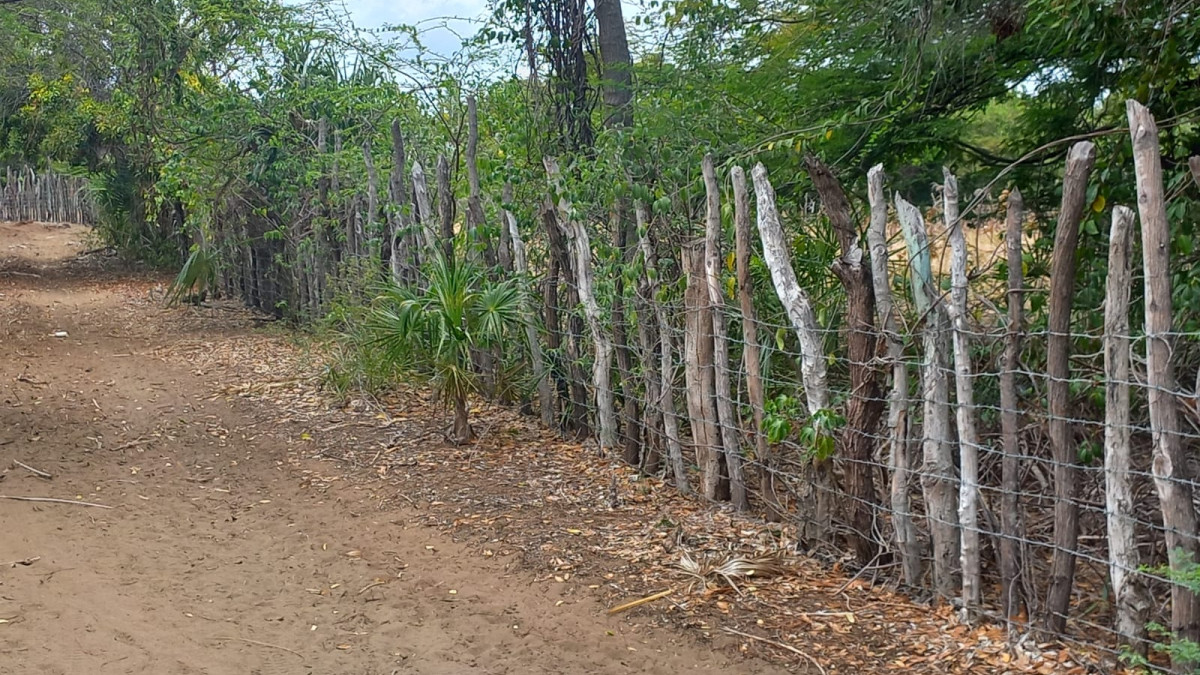 Contin&uacute;an colocando alambradas en amplios predios de las Dunas