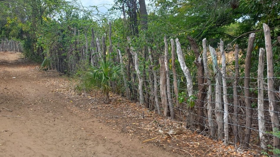 Continúan colocando alambradas en amplios predios de las Dunas