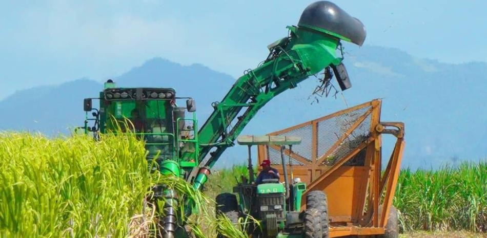Central Romana pagar&aacute; RD$920 millones de bonificaci&oacute;n