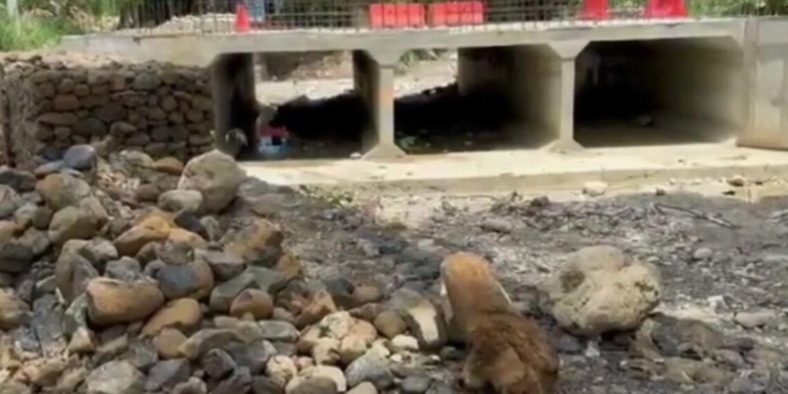 Residentes de Moca exigen terminaci&oacute;n de tres puentes