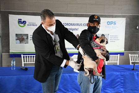 Salud P&uacute;blica vacunar&aacute; m&aacute;s de un mill&oacute;n de perros y gatos contra la rabia