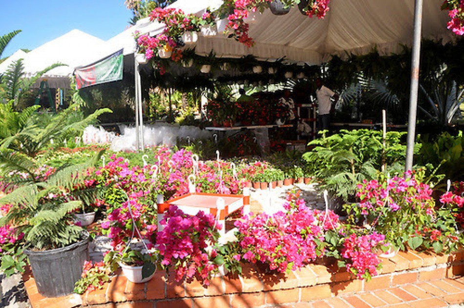Jardín Botánico celebrará el Festival de Plantas y Flores