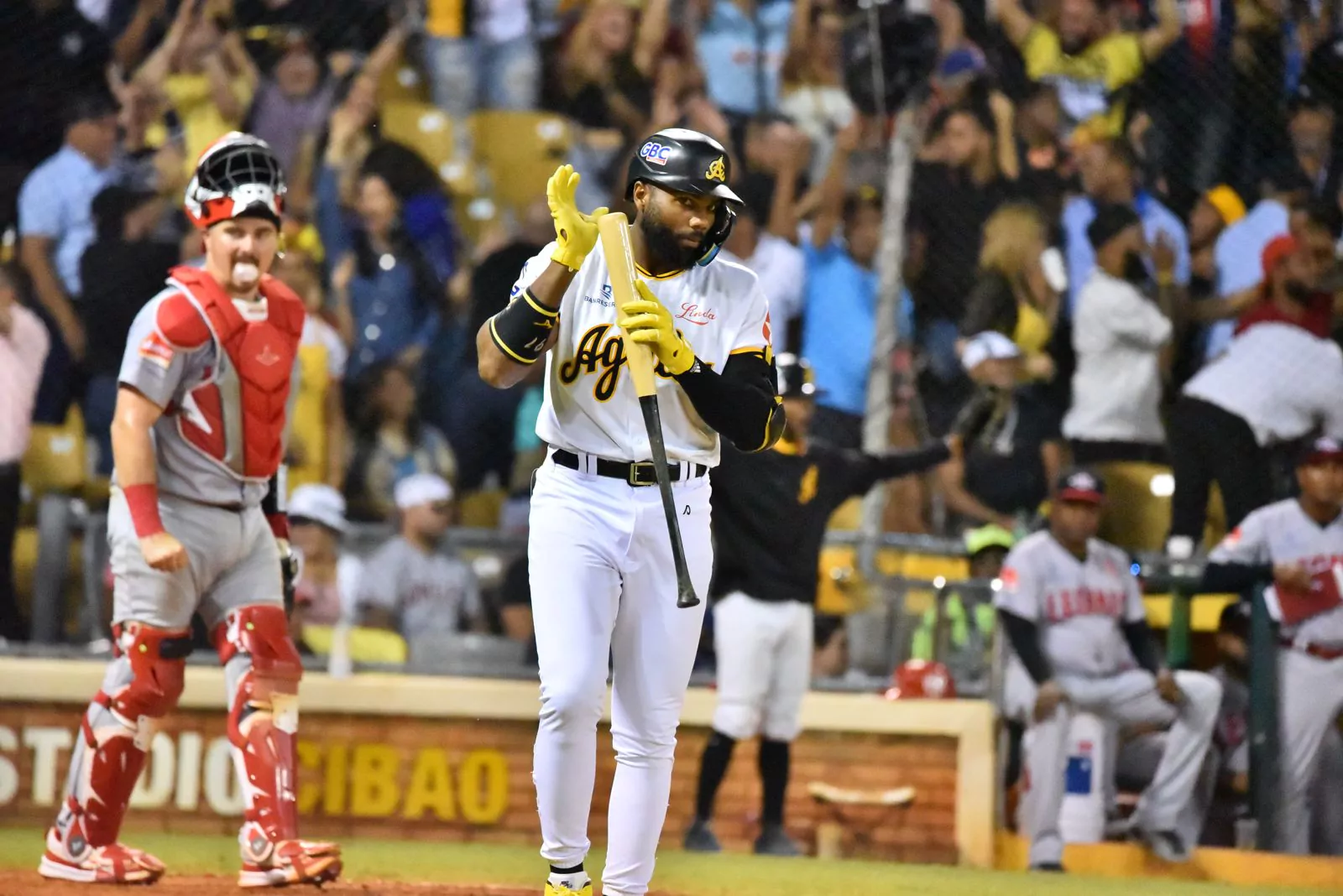 &Aacute;guilas derrotan a Leones con grand slam de Aderlin Rodr&iacute;guez