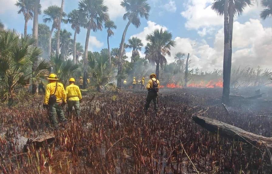M&aacute;s del 60 % de los fuegos forestales son intencionales en la provincia La Altagracia