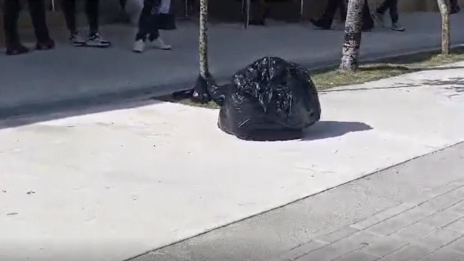 Una mujer lanza cad&aacute;ver de su hija frente a tribunal de Hig&uuml;ey 