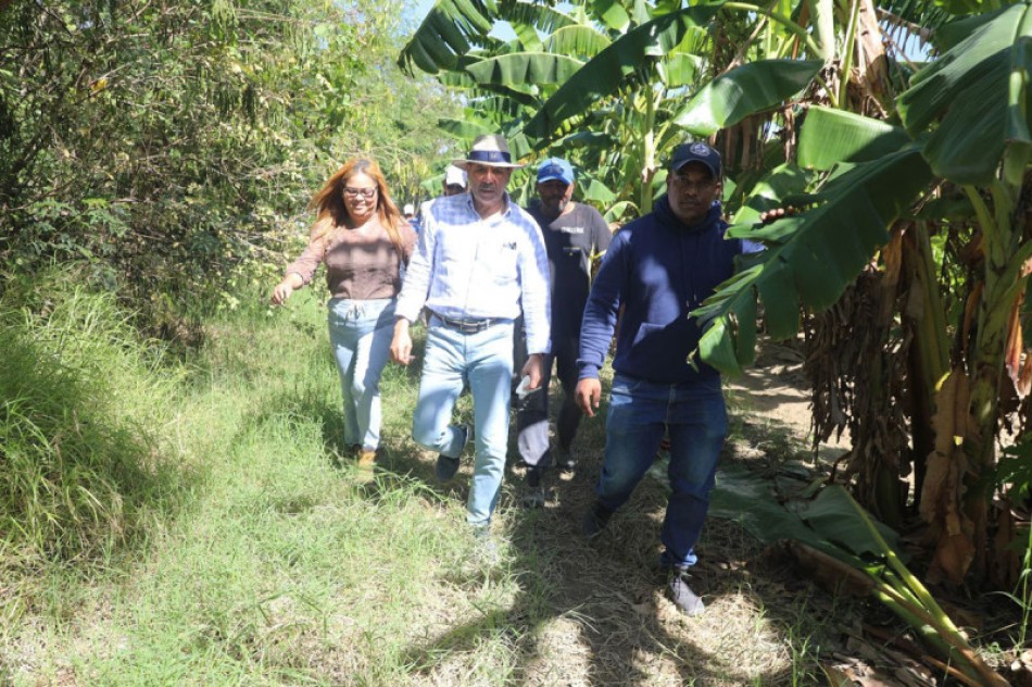 Agricultura estima p&eacute;rdidas agro en RD$4,000 millones