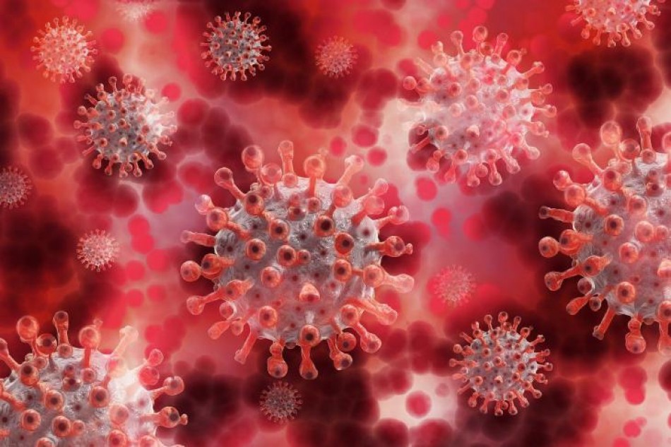 OMS: coronavirus sigue siendo emergencia global salud pública