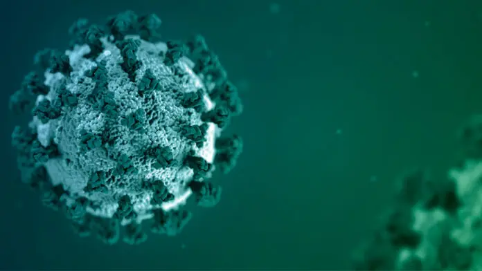 Infecciones resistentes a antibi&oacute;ticos: Mayo Clinic crea novedoso m&eacute;todo para identificarlas y combatirlas