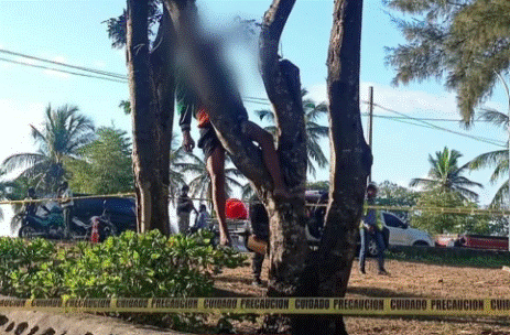 Agentes policiales hallaron el cuerpo de un hombre colgado en un &aacute;rbol pr&oacute;ximo a la avenida Espa&ntilde;a.