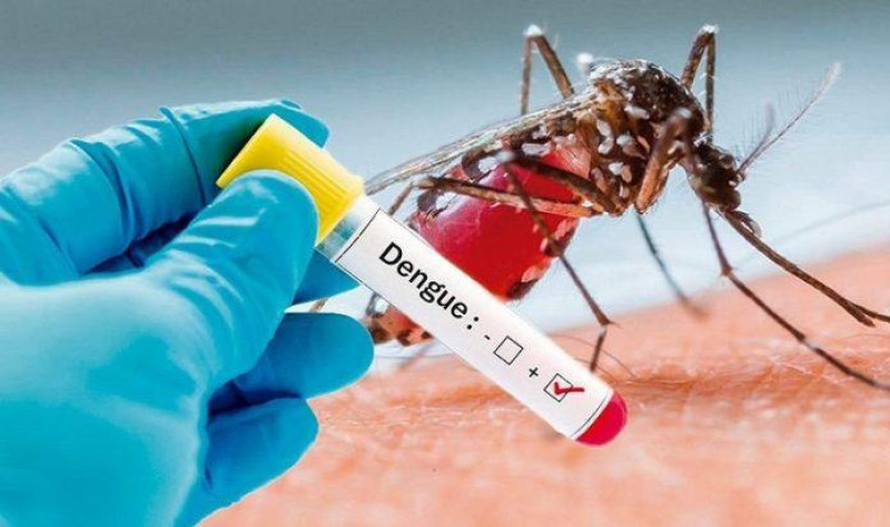 Pa&iacute;s est&aacute; interesado en la nueva vacuna contra el dengue