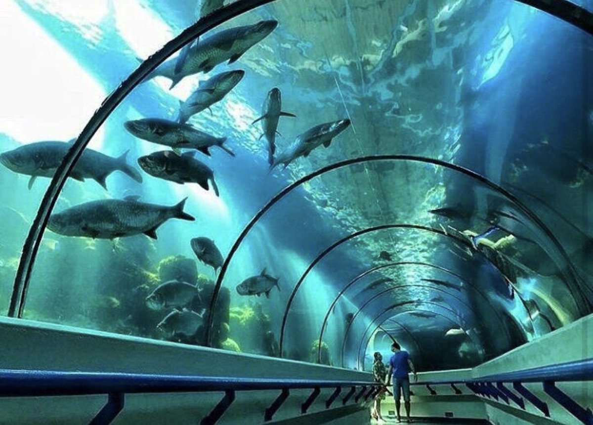 Gobierno encarga a una comisi&oacute;n para impulsar el remozamiento del Acuario Nacional