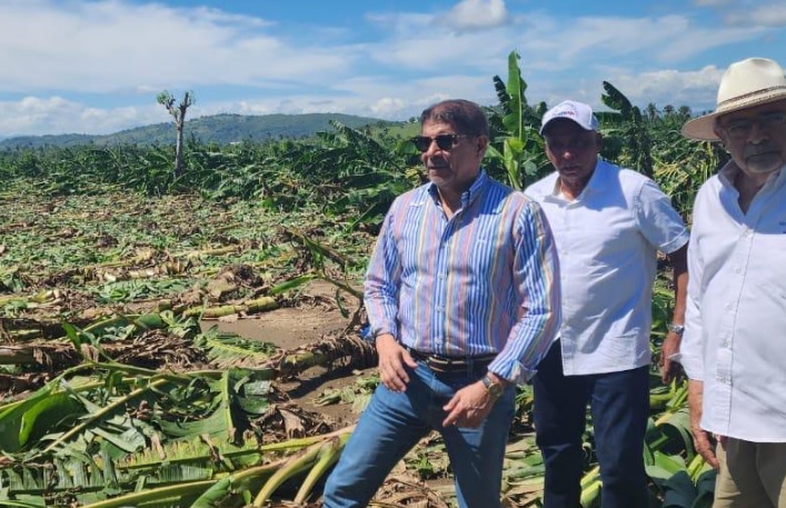 Tornado arrasa cultivos de pl&aacute;tano y granjas en zonas de La Vega 