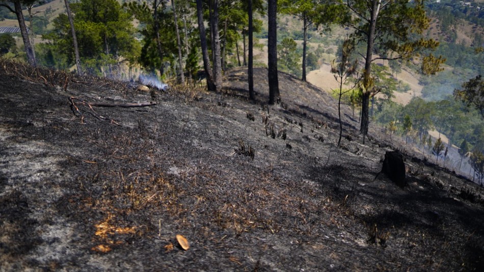 Incendios forestales mantiene amplias zonas boscosas del país