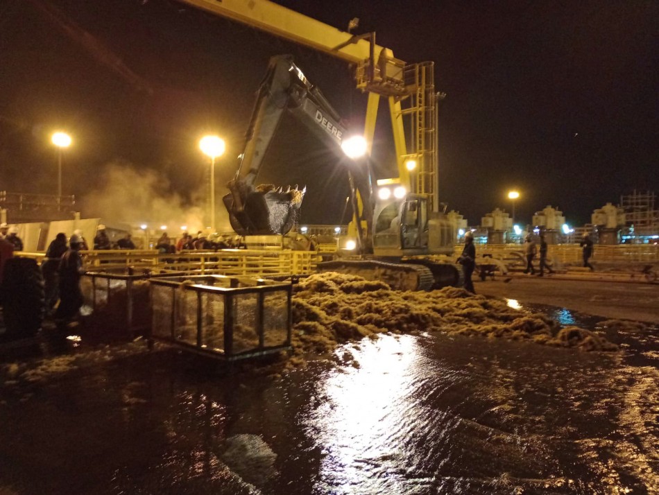 Unidad 2 de Punta Catalina sale de manera temporal de operación por acumulación de sargazo