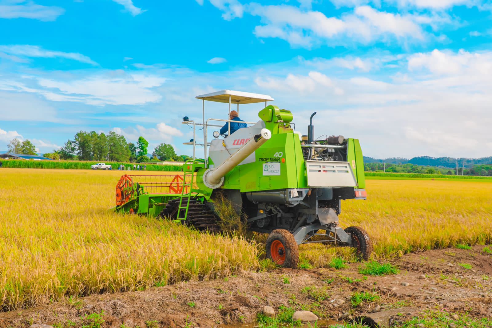 Arroceros reconocen al Presidente Abinader