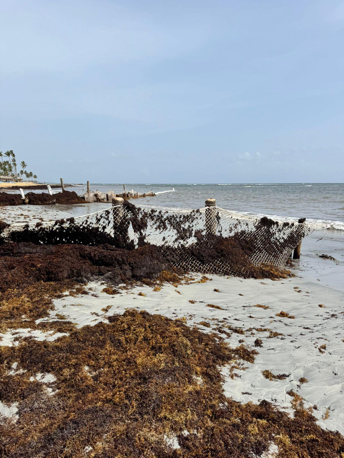 Hotel Sirenis destruye hábitat de tortugas marinas en Uvero Alto