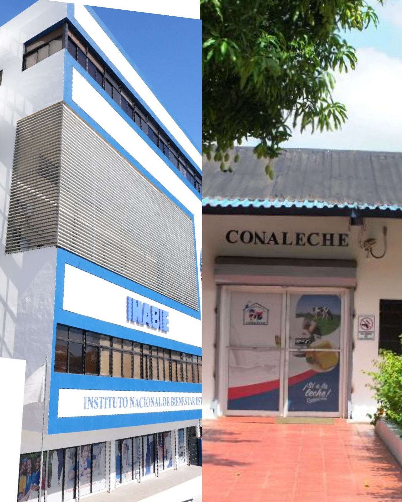 INABIE y CONALECHE afinan detalles para integrar yogur al desayuno escolar tras exitosos resultados en fase piloto