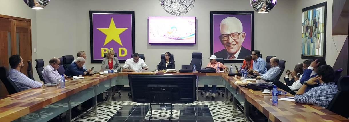 PLD dispone estructurar comisiones de consulta en provincias para fortalecer la organización