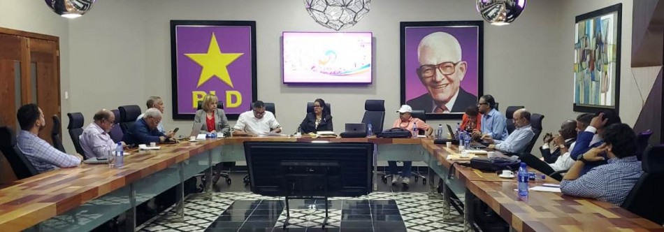 PLD dispone estructurar comisiones de consulta en provincias para fortalecer la organización
