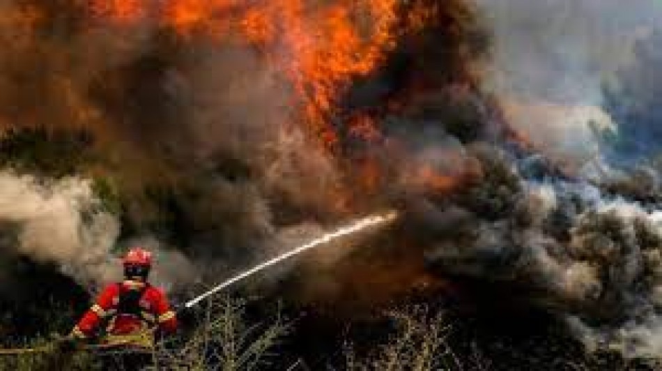 Incendios forestales sin control y una mortal ola de calor en Europa