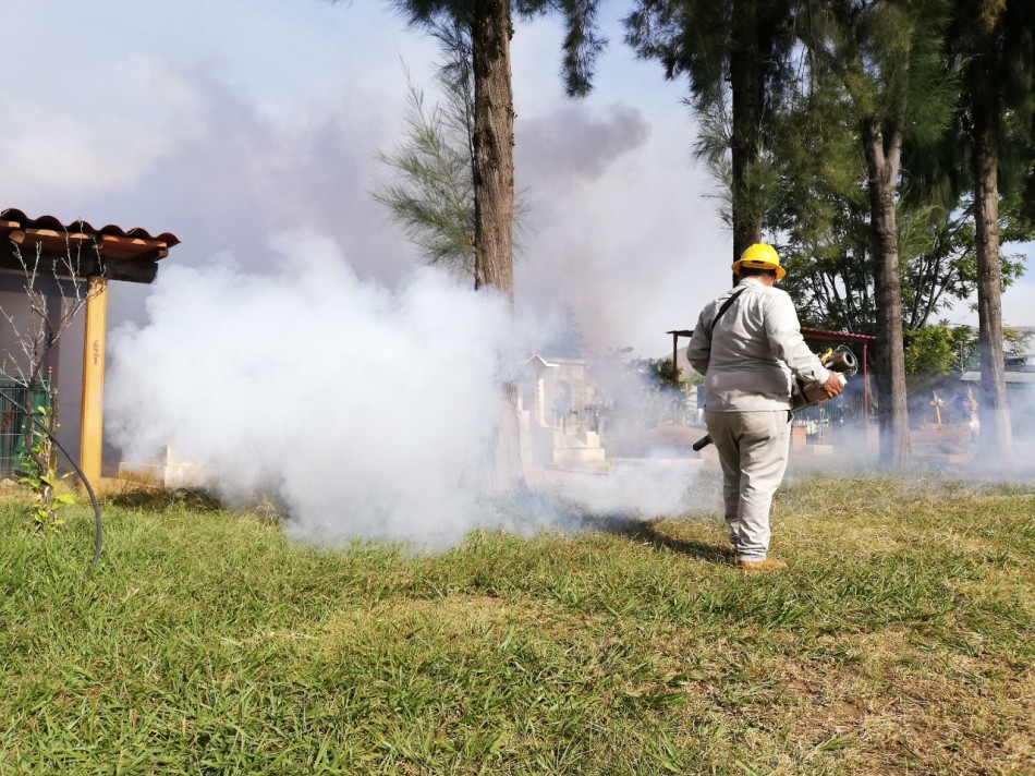 Desconocen c&oacute;mo evitar el virus chikungunya