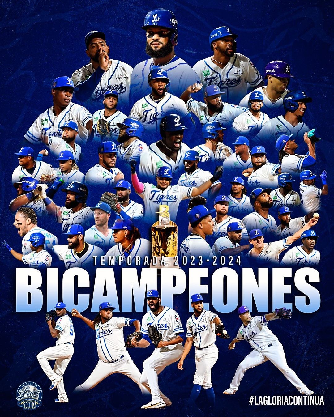 Tigres del Licey, campeones, se apoderan de la Copa Banreservas 2024