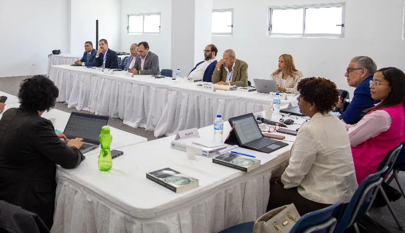 CES concluye Di&aacute;logo sobre Crisis Haitiana