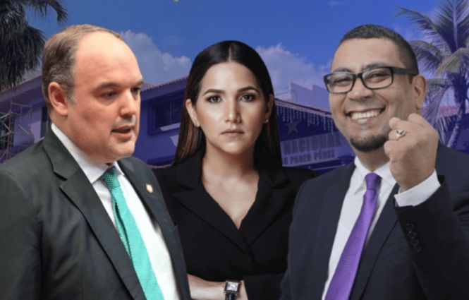 Jos&eacute; del Castillo Savi&ntilde;&oacute;n, Charinee Ovalles y Luis Alberto Pelaez renuncian del PLD