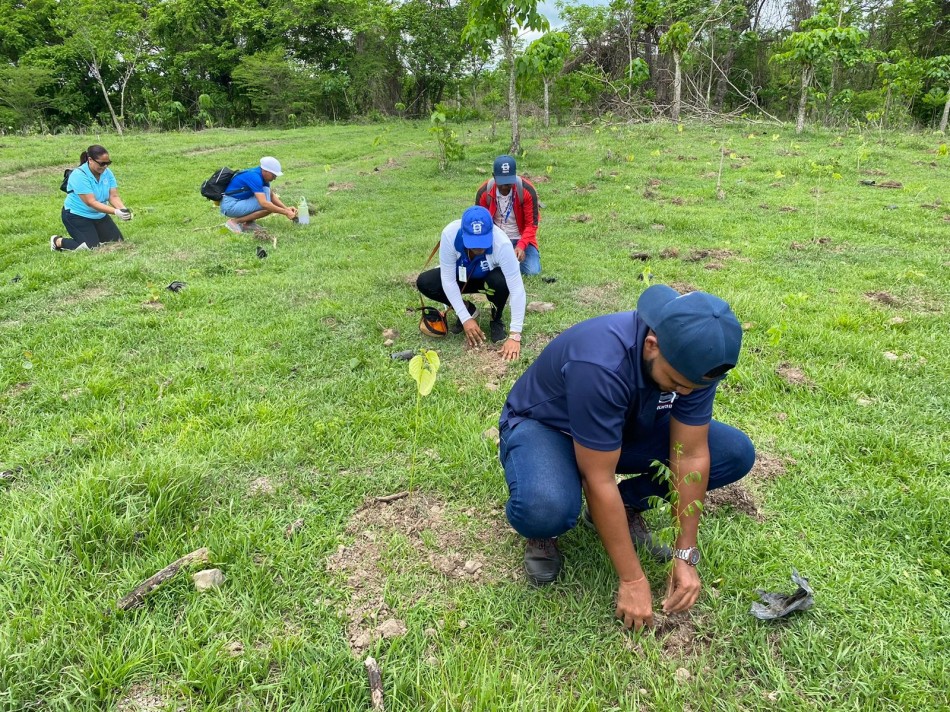 INDRHI establece m&aacute;s de 4 mil plantas en simult&aacute;neas jornadas de reforestaci&oacute;n