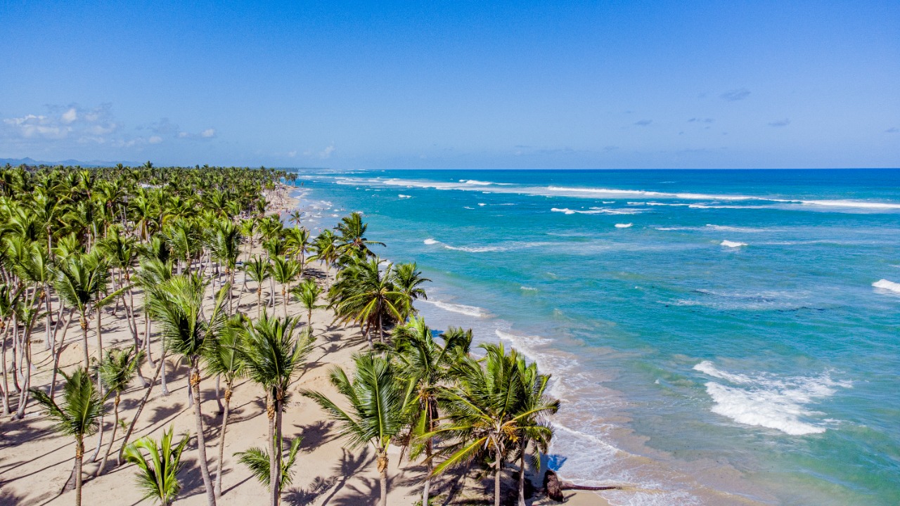 Playa Palmera un para&iacute;so en Rep&uacute;blica Dominicana