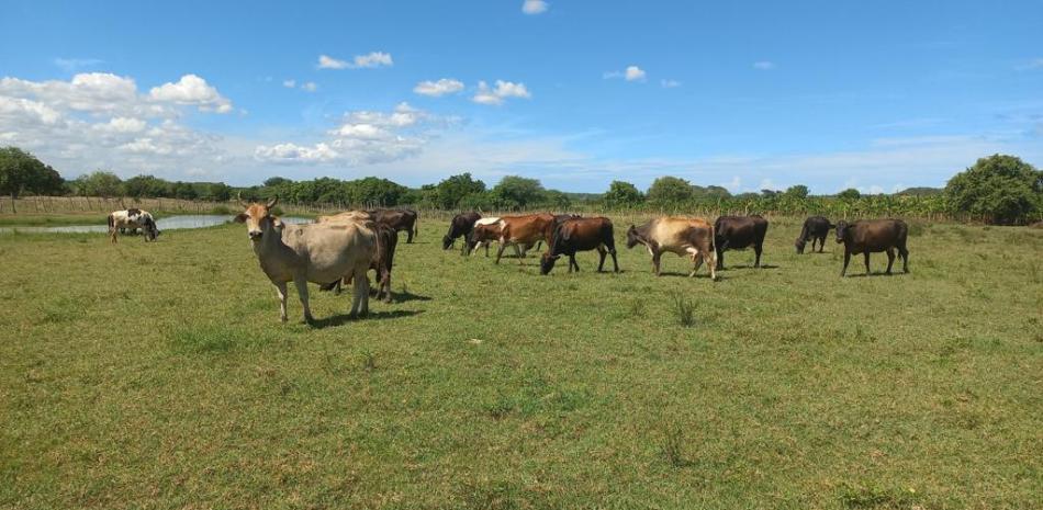 Cierre de la frontera y desvi&oacute; del r&iacute;o Masacre golpean la agricultura y el comercio en Dajab&oacute;n