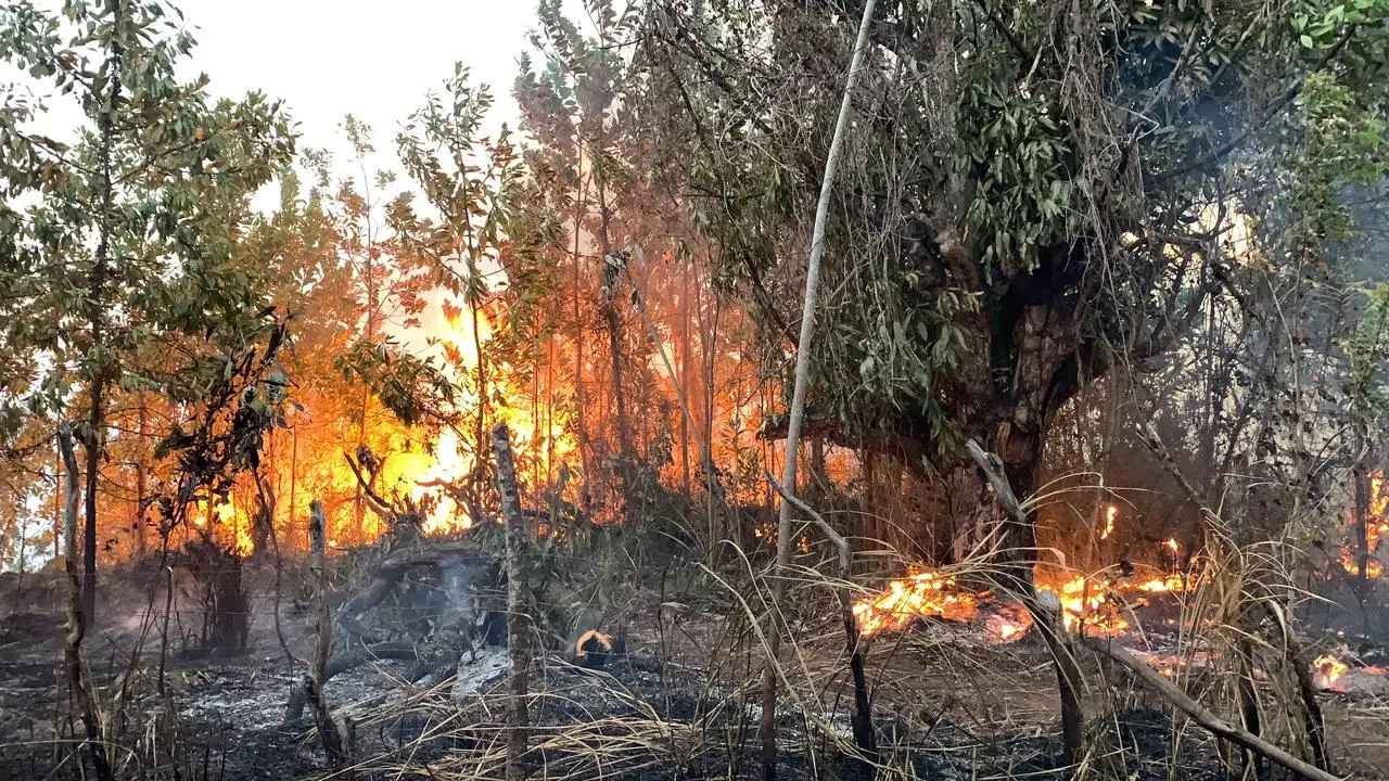 Incendio afecta &aacute;rea recreativa Loma de Guaig&uuml;&iacute;, La Vega
