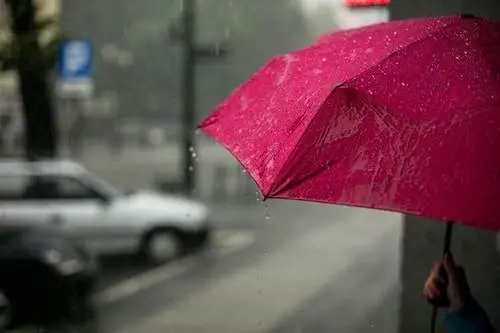 Aguaceros, tronadas, r&aacute;fagas de viento y temperaturas calurosas, informa Meteorolog&iacute;a