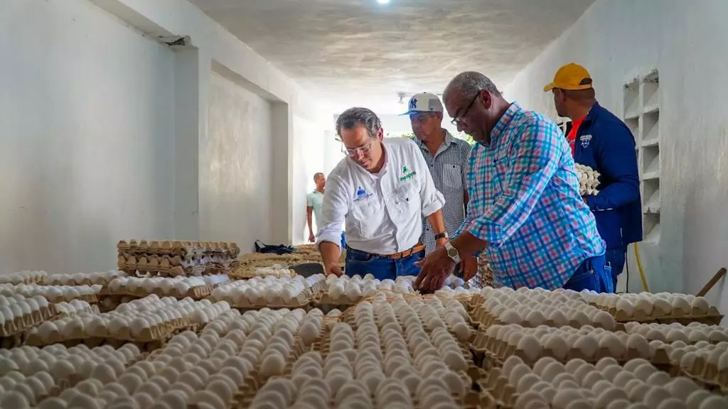 Inespre inicia compra de pollos y huevos a productores de Dajab&oacute;n
