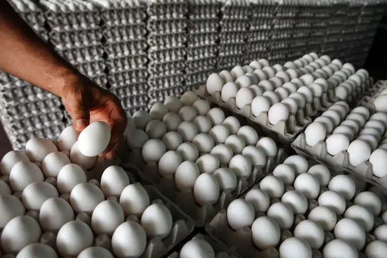 Inespre vender&aacute; a 100 pesos el cart&oacute;n de huevos de productores de Dajab&oacute;n