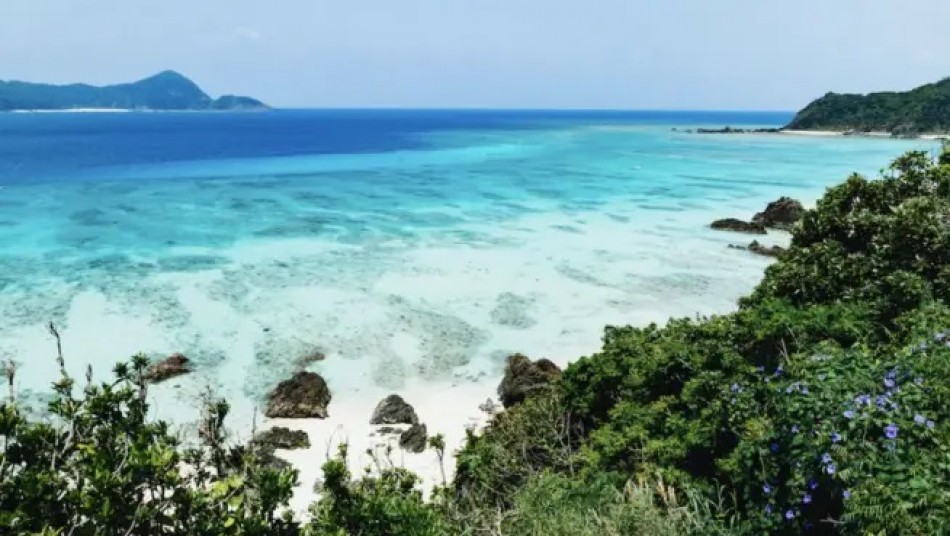 Jap&oacute;n emite alerta de tsunami tras terremoto de magnitud 6,6