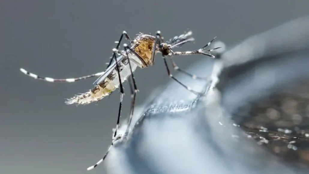 Hijos de m&eacute;dicos mueren por dengue; piden declarar &ldquo;emergencia&rdquo; ante incremento